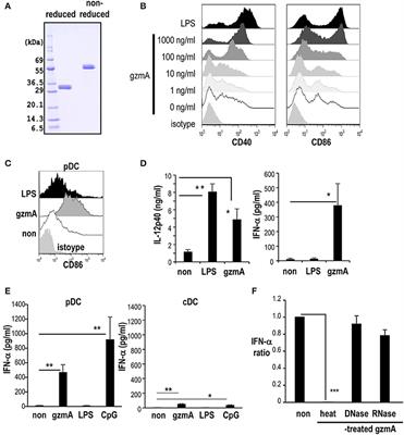 Granzyme A Stimulates pDCs to Promote Adaptive Immunity via Induction of Type I IFN